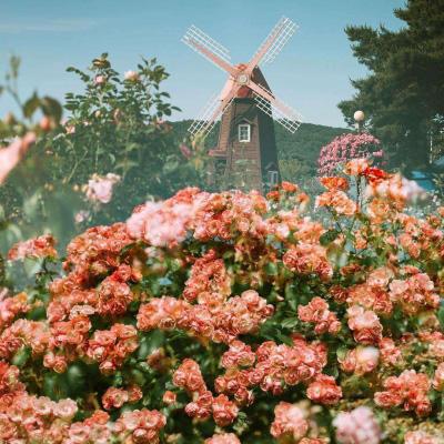 爱游戏comapp下载