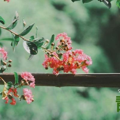 半岛·体育中国官方网站下载