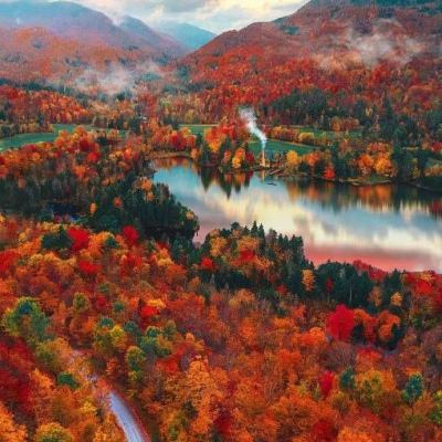 半岛·综合手机app下载