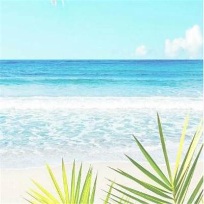 乐鱼app官方下载