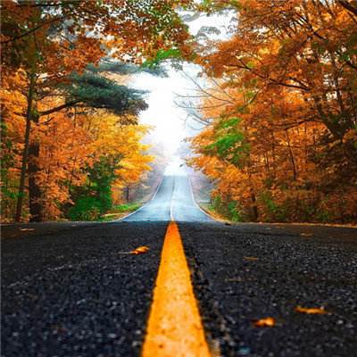 半岛官方网站下载截图