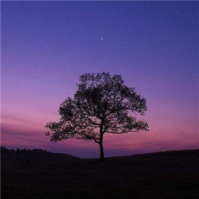 半岛官方网站下载