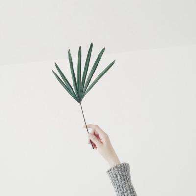 1788网投手机app下载